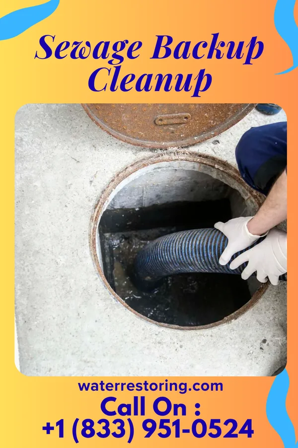 Sewage Backup Cleanup in Hildebran, NC